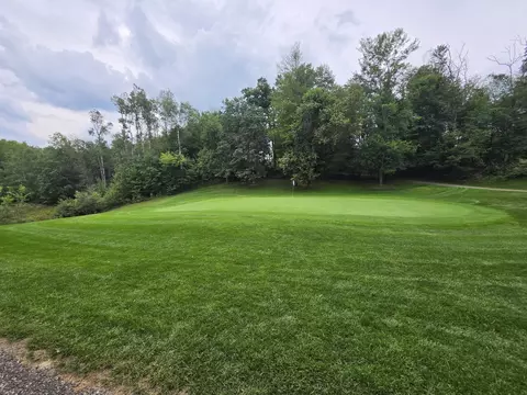 williams trail, Grayling, MI 49738 photo 25