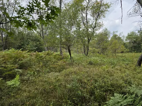 williams trail, Grayling, MI 49738 photo 16