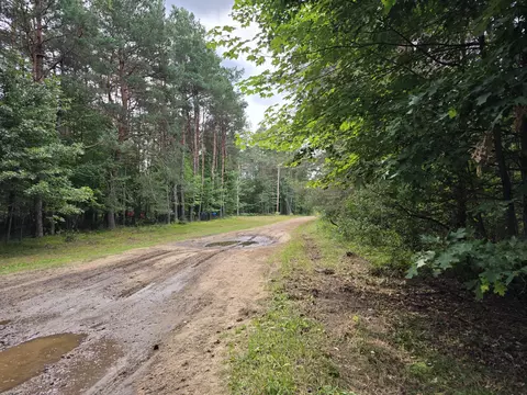 williams trail, Grayling, MI 49738 photo 3