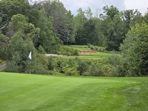 williams trail, Grayling, MI 49738 photo 28