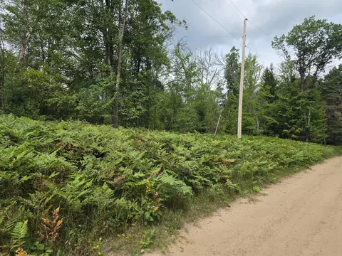 williams trail, Grayling, MI 49738 photo 10