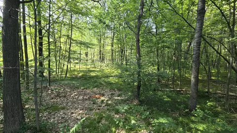 225 Dover Dr, Roscommon, MI 48653 photo 1