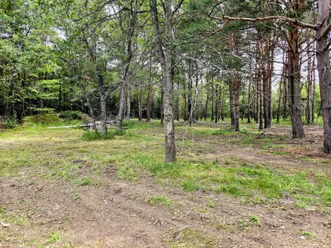 6573 Williams Trl, Grayling, MI 49738 photo 33
