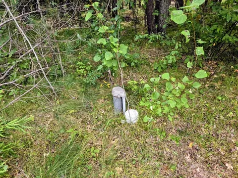 6573 Williams Trl, Grayling, MI 49738 photo 32