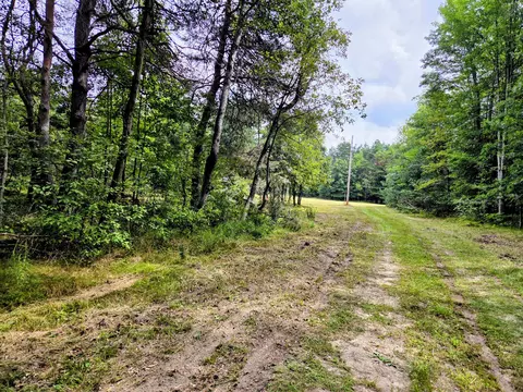 6573 Williams Trl, Grayling, MI 49738 photo 5