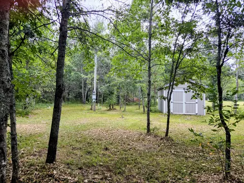 6573 Williams Trl, Grayling, MI 49738 photo 10