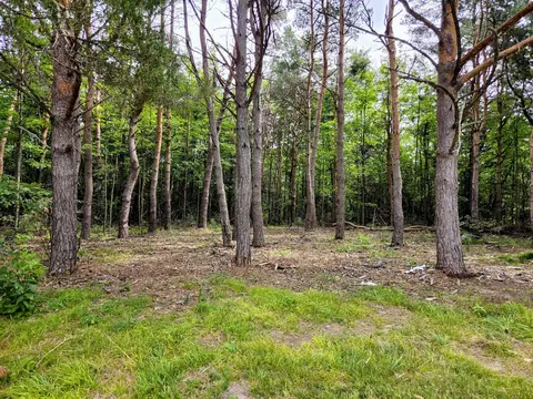 6573 Williams Trl, Grayling, MI 49738 photo 8