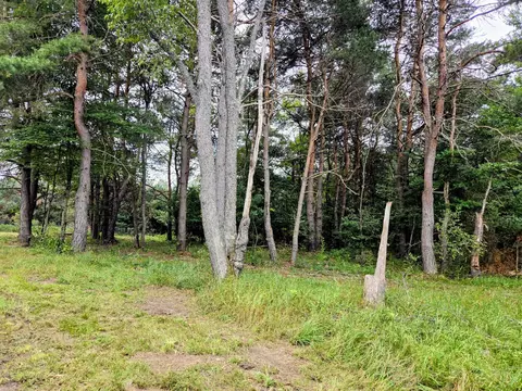 6573 Williams Trl, Grayling, MI 49738 photo 6