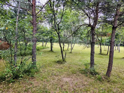 6573 Williams Trl, Grayling, MI 49738 photo 9