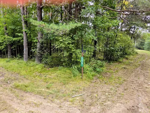 6573 Williams Trl, Grayling, MI 49738 photo 4