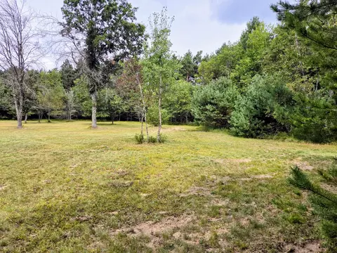6573 Williams Trl, Grayling, MI 49738 photo 34