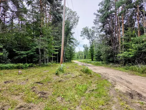 6573 Williams Trl, Grayling, MI 49738 photo 3