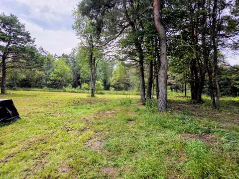 6573 Williams Trl, Grayling, MI 49738 photo 7
