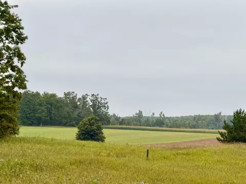 V/l 40 Ac Wolverine Road, Wolverine, MI 49799