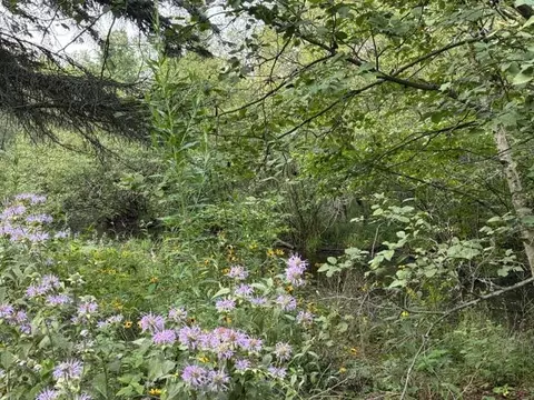 lot423 Luce #NE, Houghton Lake, MI 48629