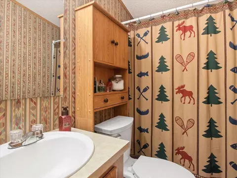 Bath - 6691 Boone Ln, Vanderbilt, MI 49795 photo 2 of 2