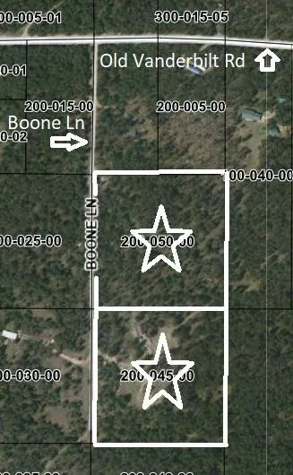 Other - 6691 Boone Ln, Vanderbilt, MI 49795 photo 17 of 17