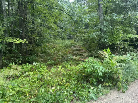 lot83 Homecrest Dr, Houghton Lake, MI 48629