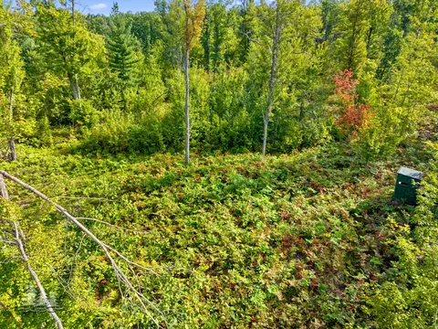 View/Area - 19609 Mcintire Rd, Comins, MI 48619 photo 10 of 10