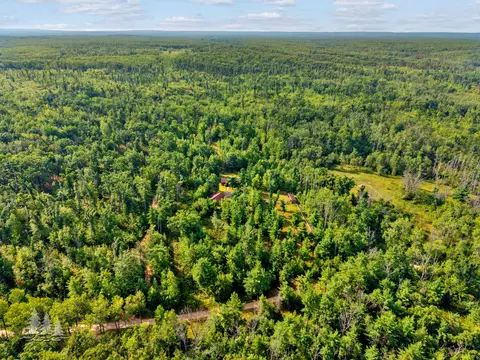 View/Area - 19609 Mcintire Rd, Comins, MI 48619 photo 7 of 10