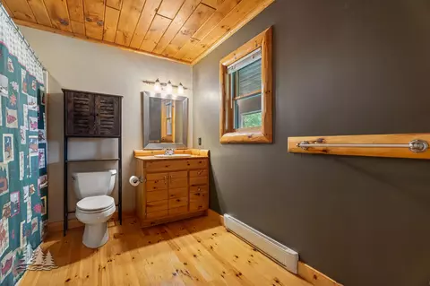 Bath - 19609 Mcintire Rd, Comins, MI 48619 photo 2 of 2