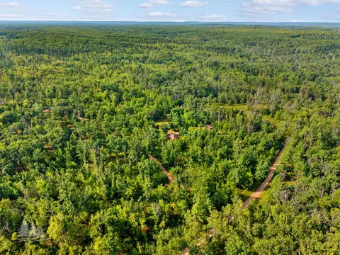 View/Area - 19609 Mcintire Rd, Comins, MI 48619 photo 8 of 10