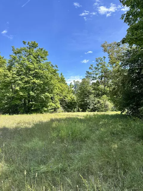 V/l Tank Trail, Johannesburg, MI 49751