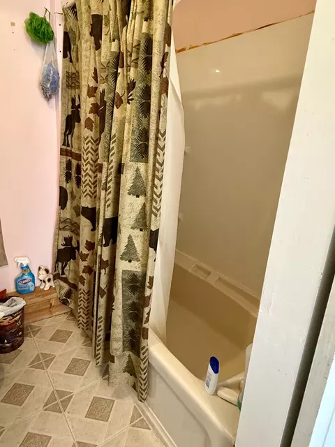 Bath - 10948 Beaver Pond Dr, Frederic, MI 49733 photo 3 of 3