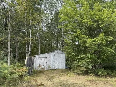 Exterior - 10948 Beaver Pond Dr, Frederic, MI 49733 photo 4 of 6