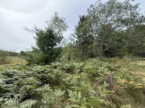 Other - 10948 Beaver Pond Dr, Frederic, MI 49733 photo 5 of 6