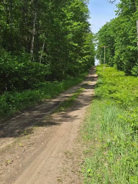 98 Ac State St, Roscommon, MI 48653 photo 3