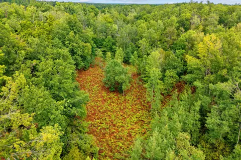 1835 Yager Ln, Mio, MI 48647 photo 6