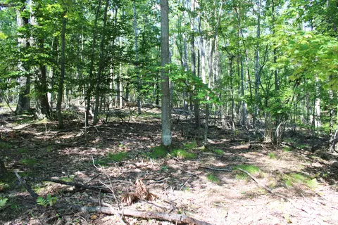 11228 Fascination Dr, Frederic, MI 49733 photo 12