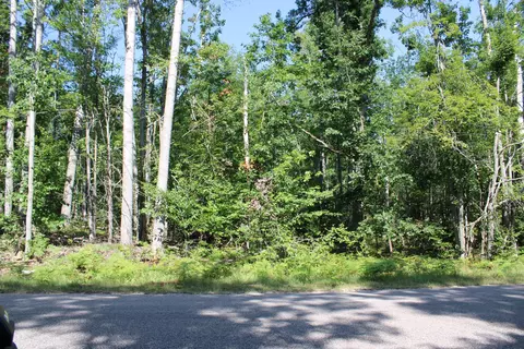 11228 Fascination Dr, Frederic, MI 49733 photo 20