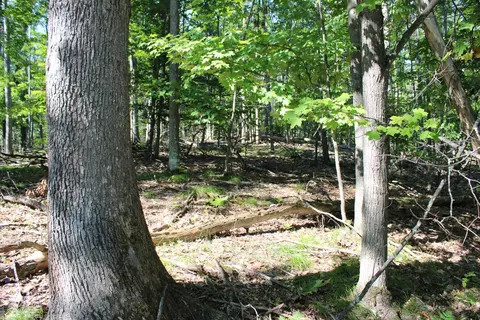 11228 Fascination Dr, Frederic, MI 49733 photo 11