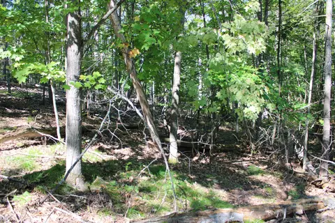 11228 Fascination Dr, Frederic, MI 49733 photo 9