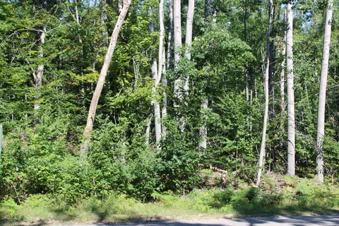 11228 Fascination Dr, Frederic, MI 49733 photo 8