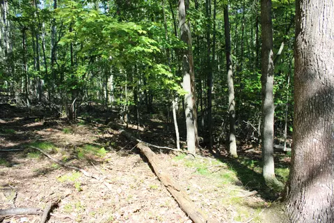 11228 Fascination Dr, Frederic, MI 49733 photo 13