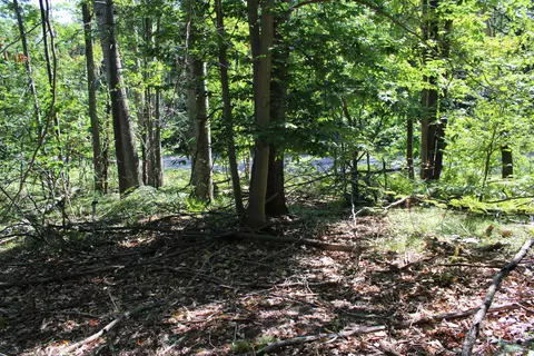 11228 Fascination Dr, Frederic, MI 49733 photo 17