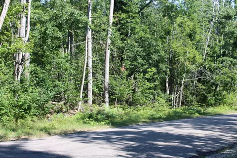 11228 Fascination Dr, Frederic, MI 49733 photo 6