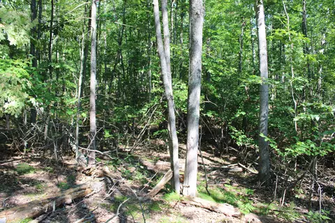 11228 Fascination Dr, Frederic, MI 49733 photo 16