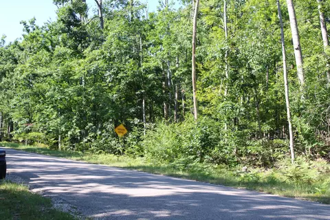 11228 Fascination Dr, Frederic, MI 49733 photo 4
