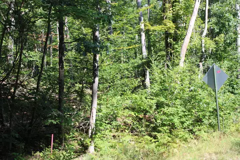 11228 Fascination Dr, Frederic, MI 49733 photo 7