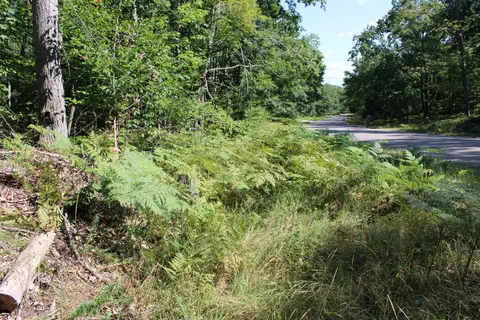 11228 Fascination Dr, Frederic, MI 49733 photo 18
