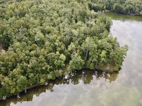 1230 S Silver Pl, Indian River, MI 49749