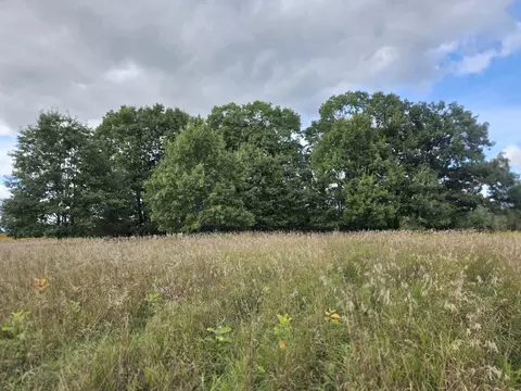 V/l S Barlow Road, Harrisville, MI 48740