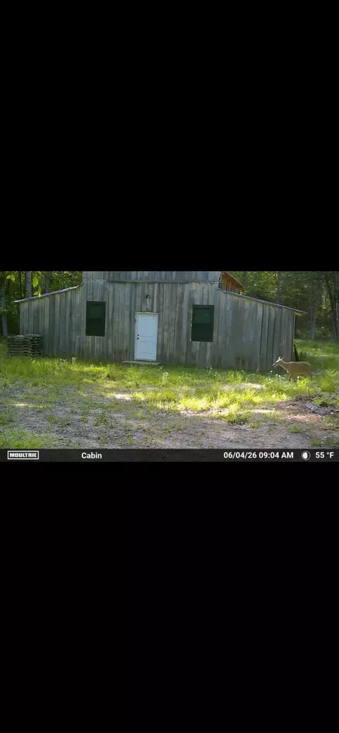 11449 Bilder Rd #10 ACRES, Wolverine, MI 49799 photo 14