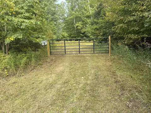 11449 Bilder Rd #10 ACRES, Wolverine, MI 49799 photo 3