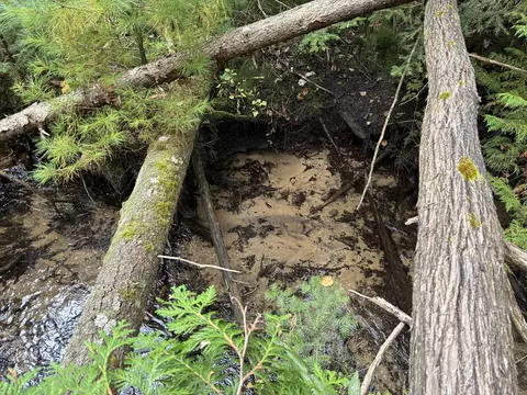 11449 Bilder Rd #10 ACRES, Wolverine, MI 49799 photo 64