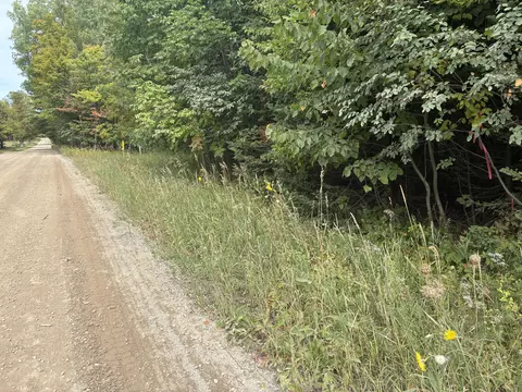 11449 Bilder Rd #10 ACRES, Wolverine, MI 49799 photo 9